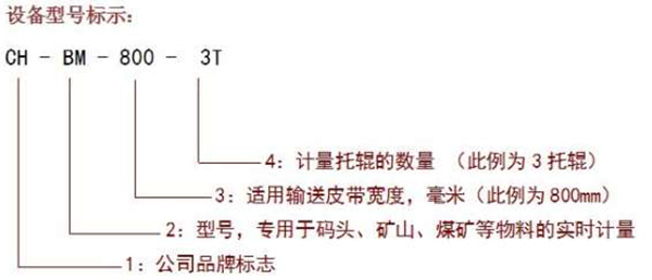 通過(guò)式皮帶秤