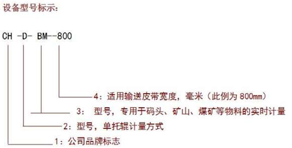 通過(guò)式皮帶秤